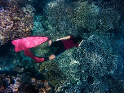 snorkeling2